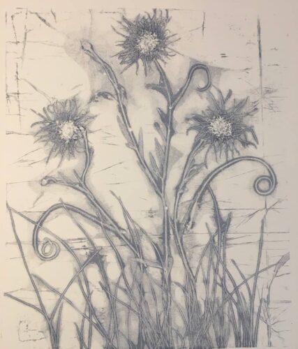 Mono-print made with assortment of plant parts to create unique plants. Printed with a gel-plate in Payne's grey paint.