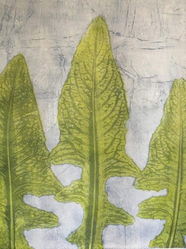 Thistle leaves used as a stencil in a mono-print.